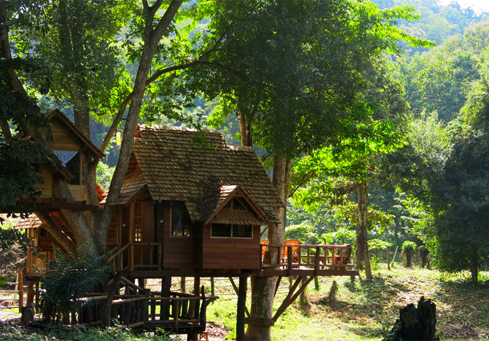 3 days periyar tour with treehouse